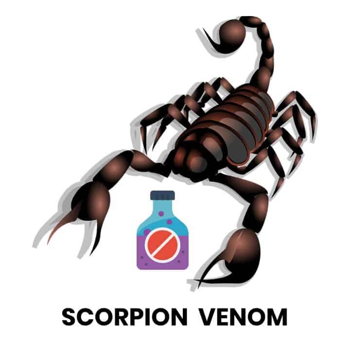 FAQ - Scorpion Venom