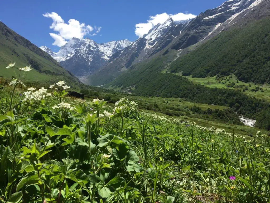 Nanda Devi and Valley of Flowers National Parks 1