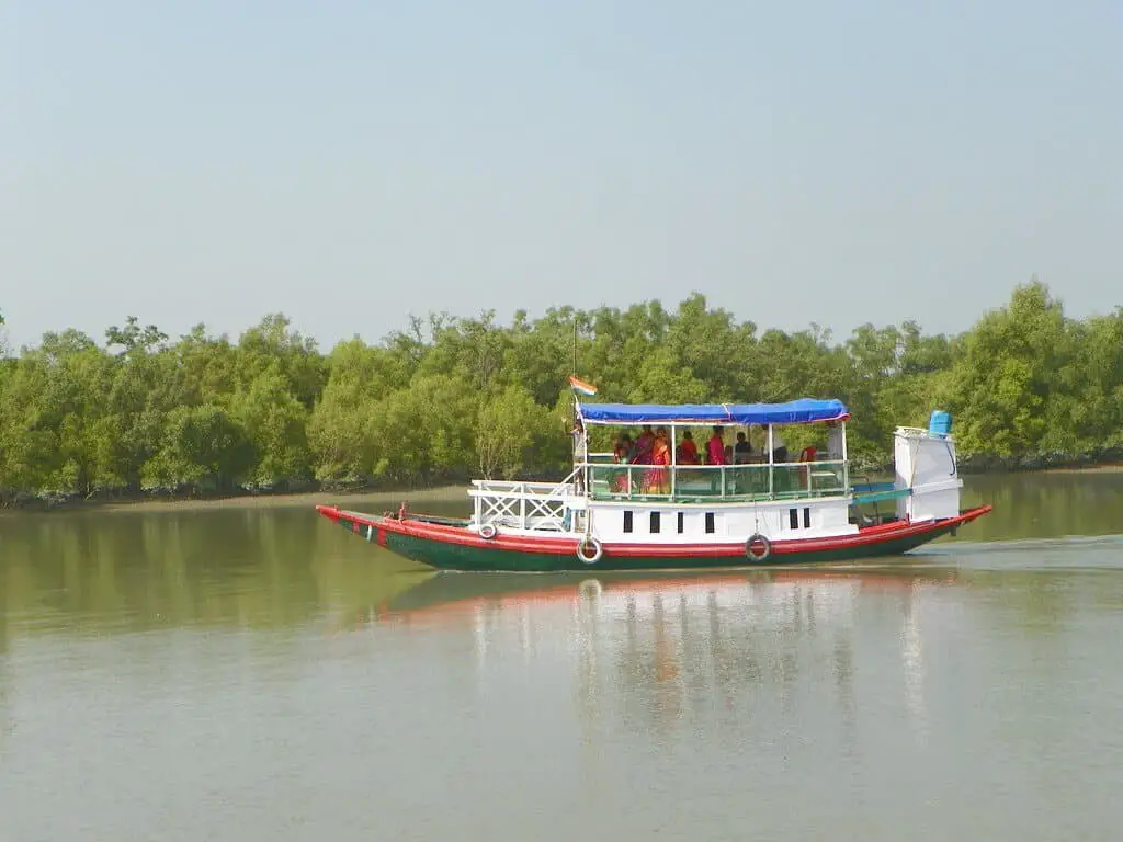 Sundarbans National Park 3