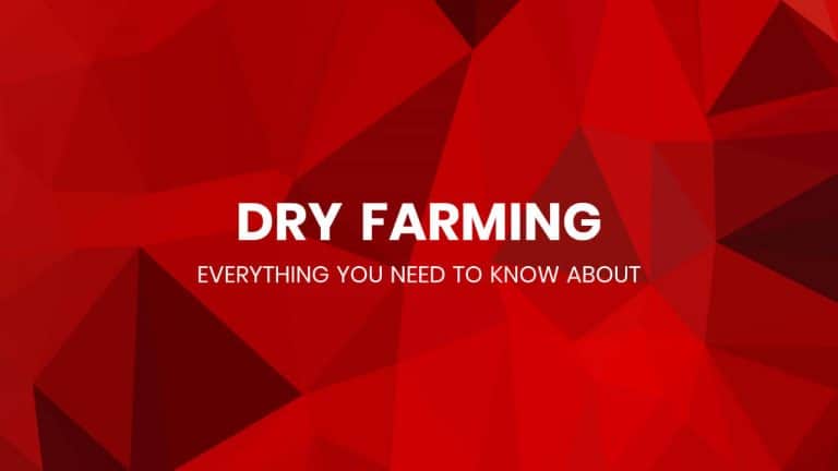 What is Dryland Farming – Know Everything