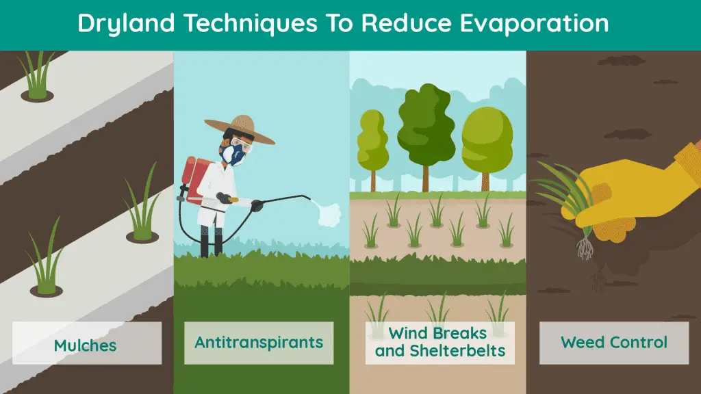 Reducing Evaporation for Dry Farming