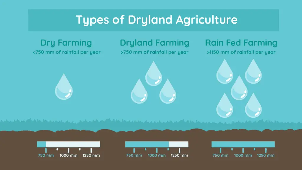 Types of Dryland Agriculture