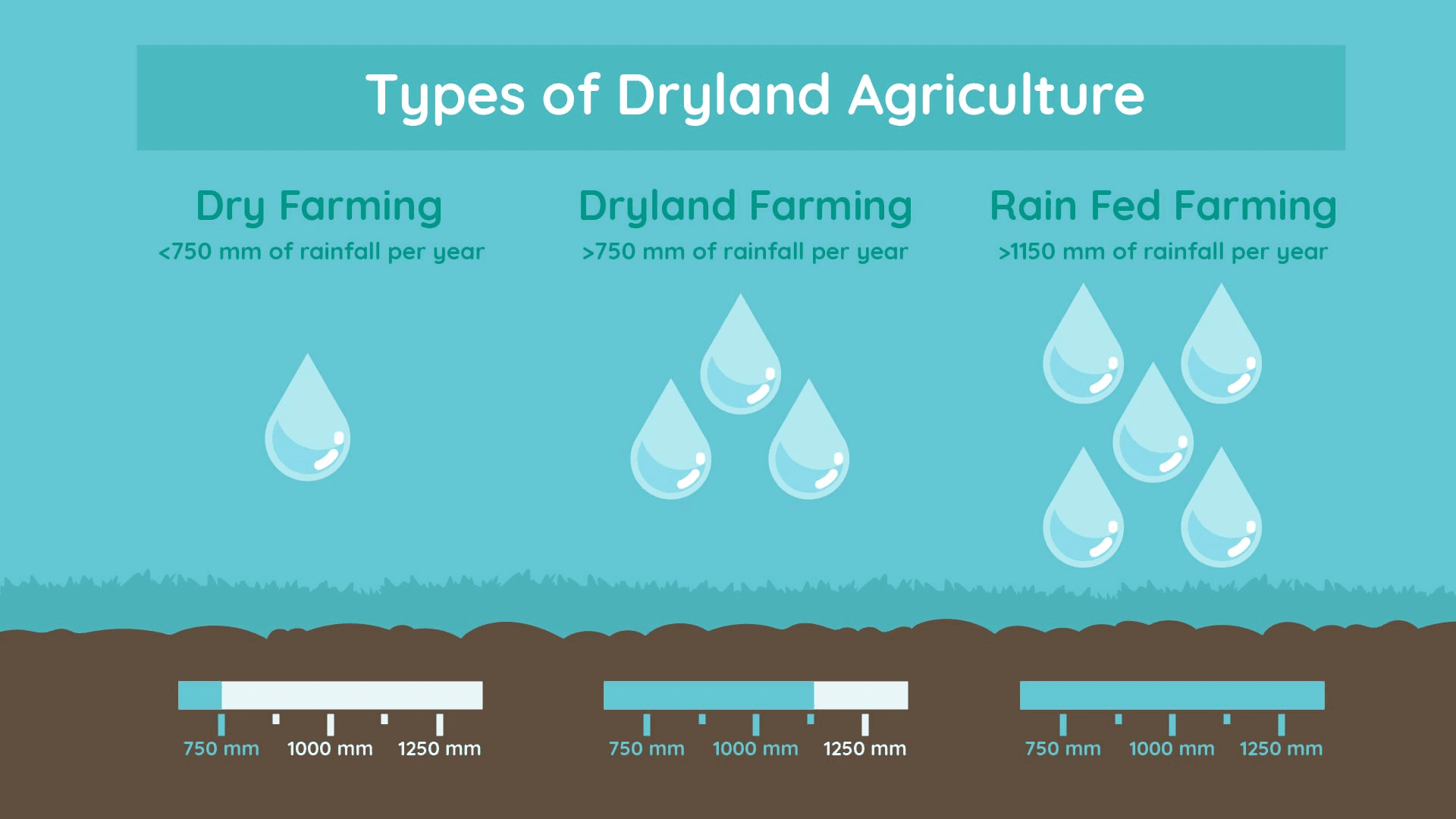 What is Dryland Farming - Know Everything about it