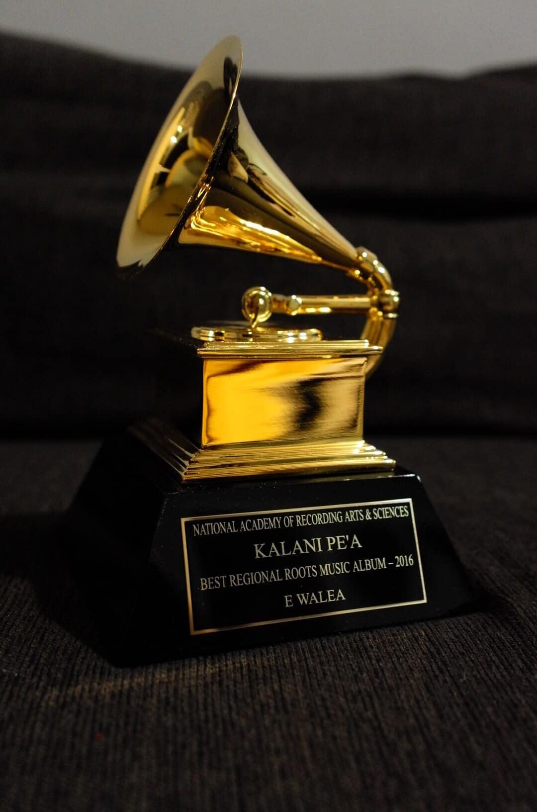 Indian Grammy Award Winners