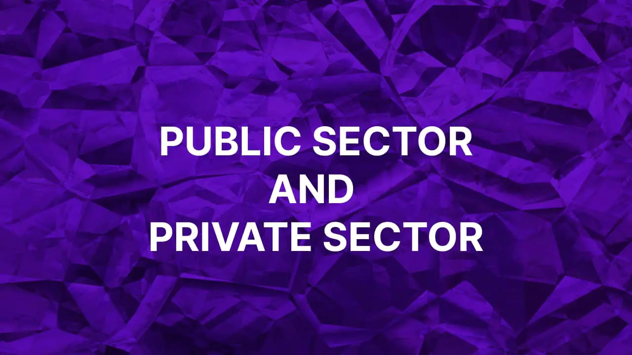 difference-between-public-and-private-sector-class-10