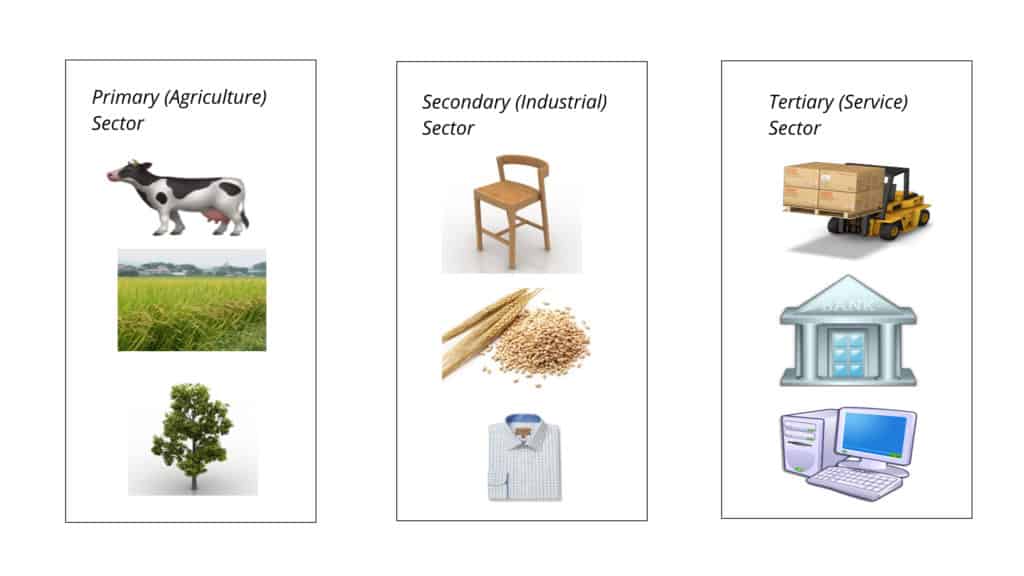 examples of primary secondary and tertiary sector class 10