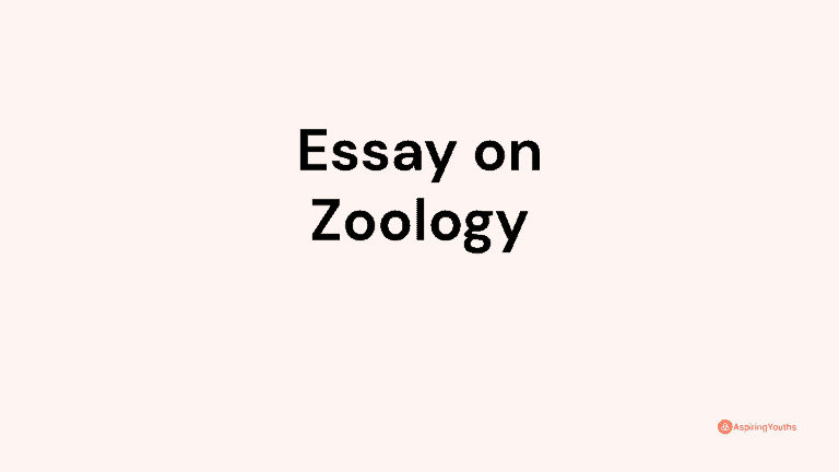 Essay on Zoology