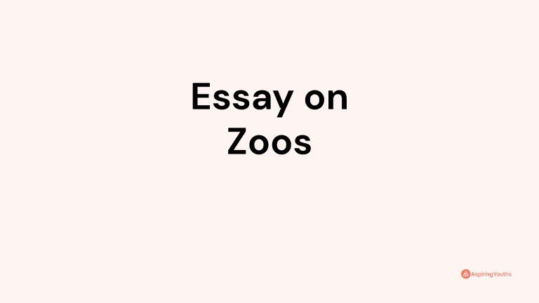 Essay on Zoos