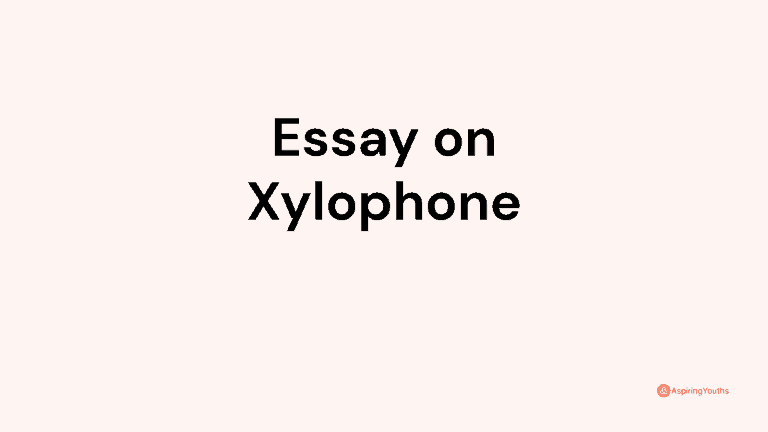 Essay on Xylophone