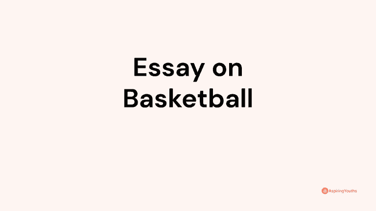 Essay on Basketball