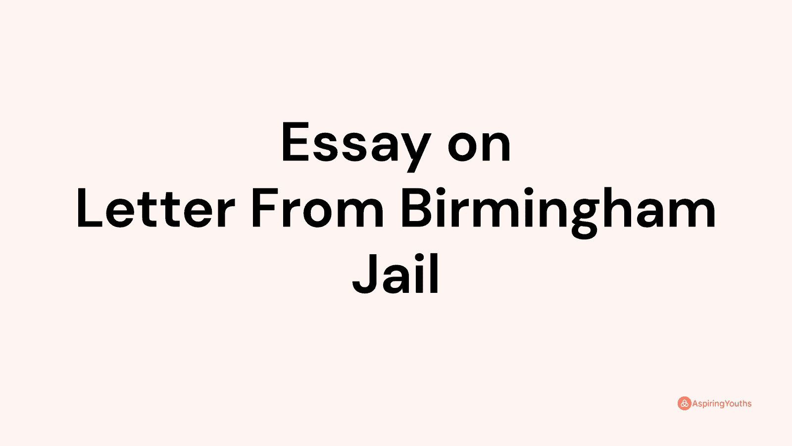 essay-on-letter-from-birmingham-jail