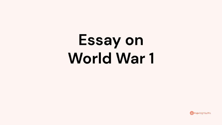 Essay on World War 1
