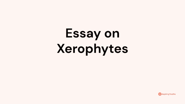 Essay on Xerophytes