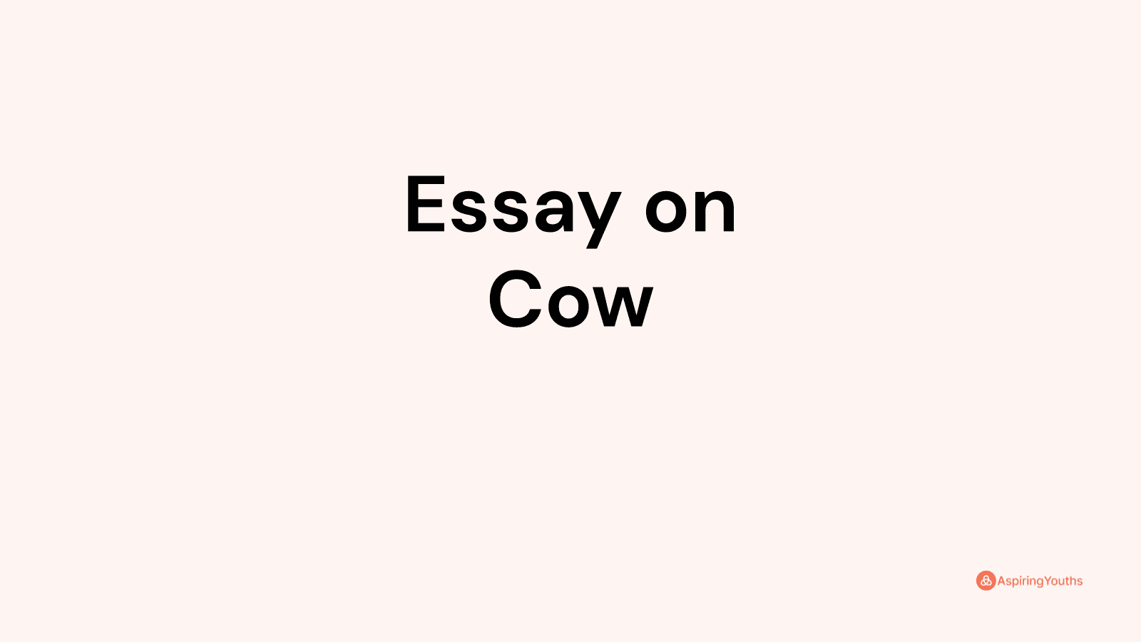 write the essay cow