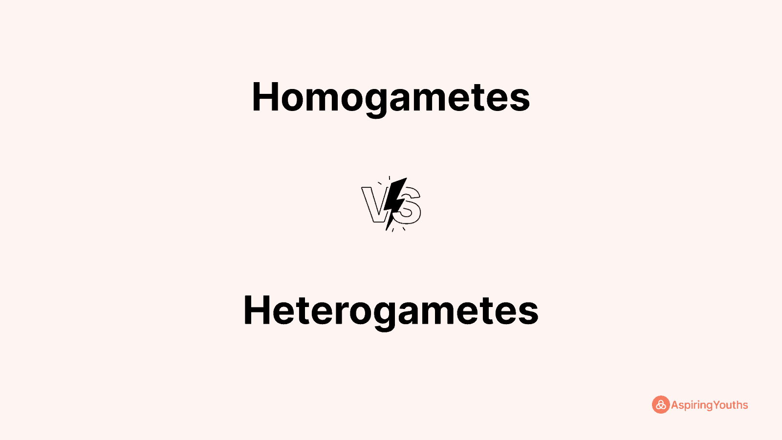 Homogametes vs Heterogametes