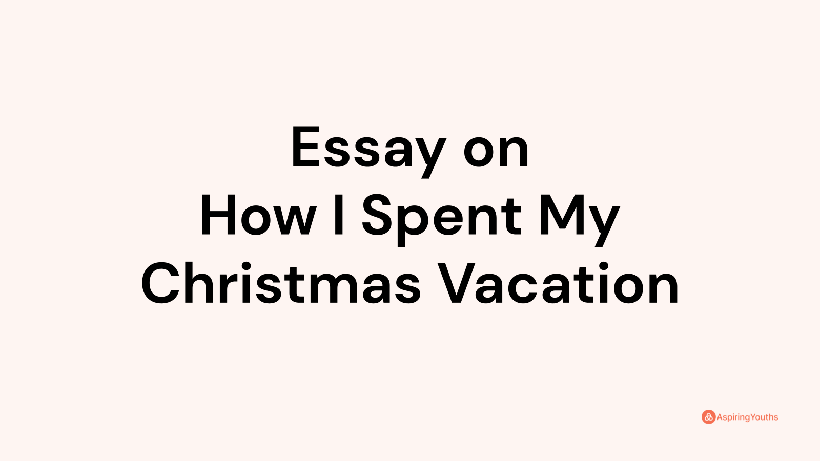 i spent my christmas vacation essay