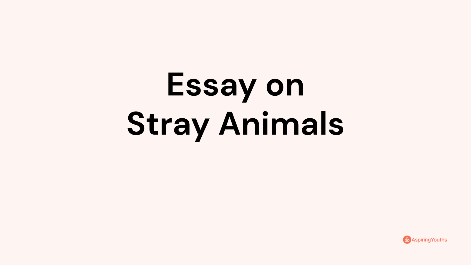 essay on stray animals