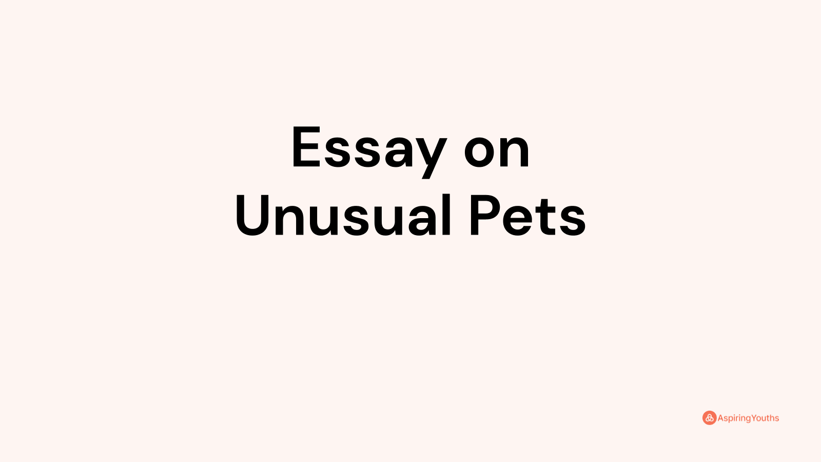 essay on unusual pet