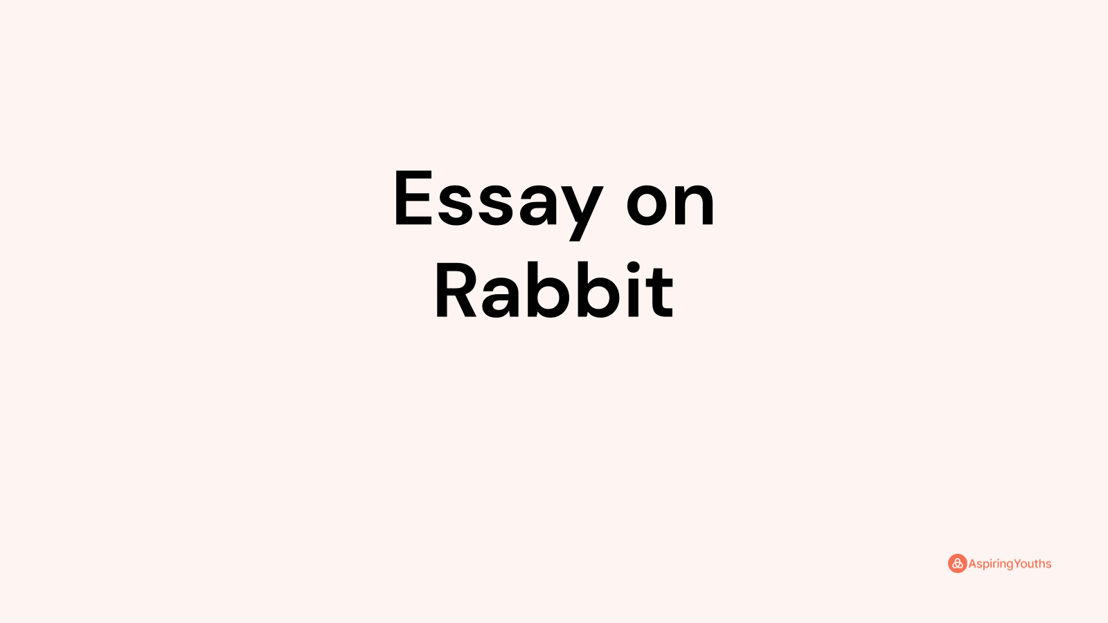 essay about rabbit