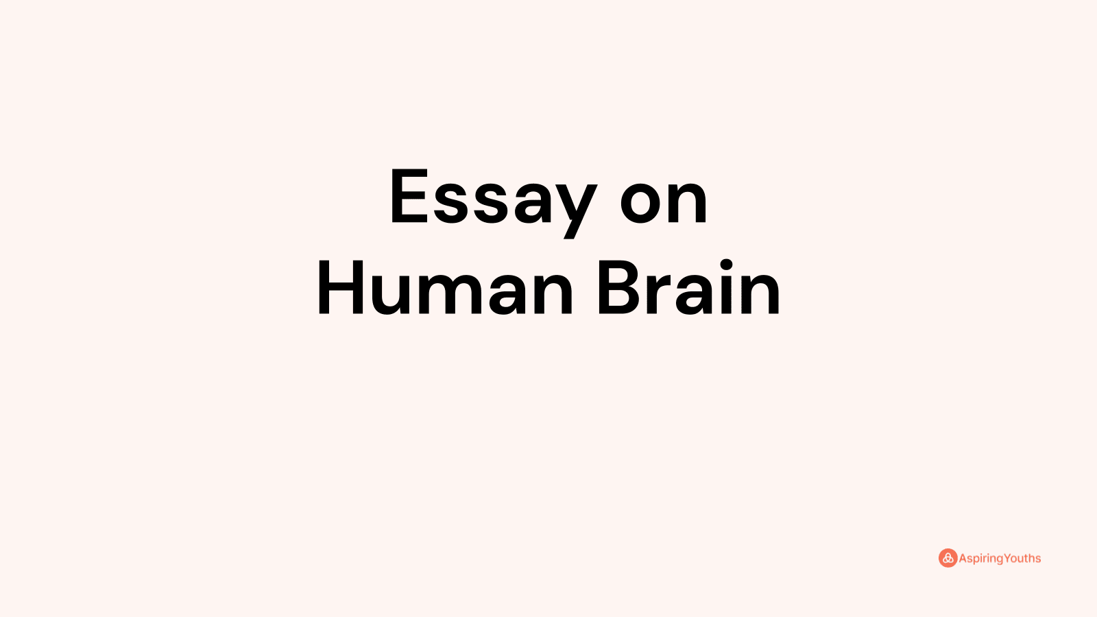 parts of human brain essay