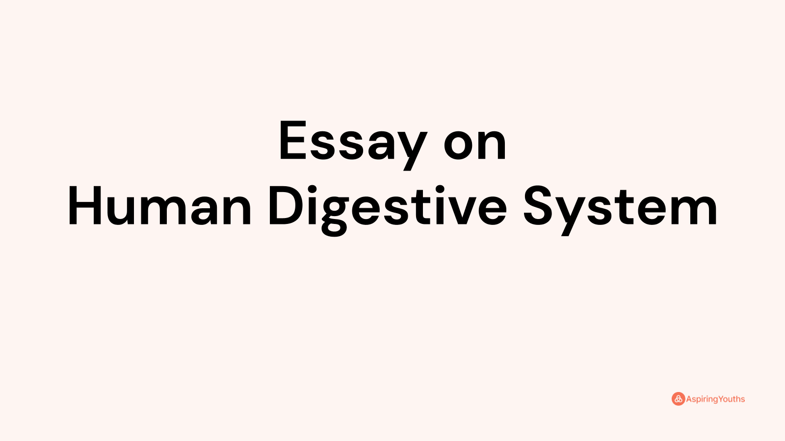 Essay on Human Digestive System