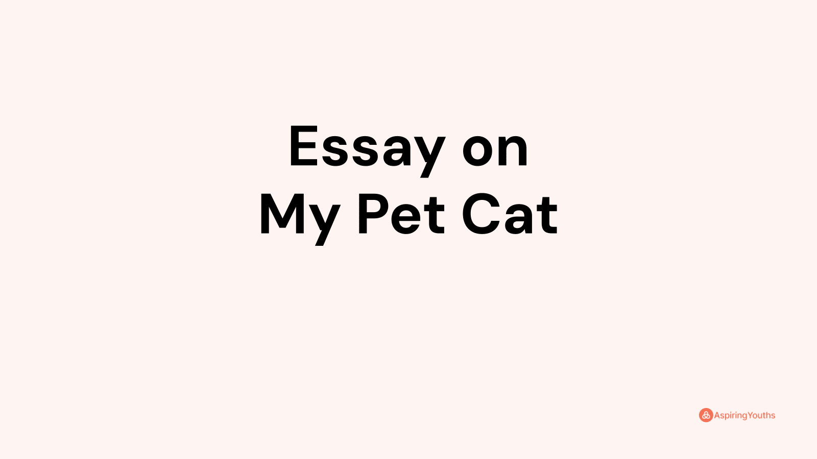 my pet cat essay 100 words