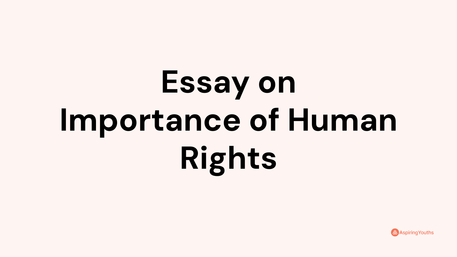 what is the importance of human rights essay