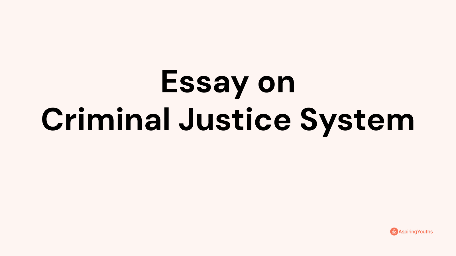 does the criminal justice system work essay