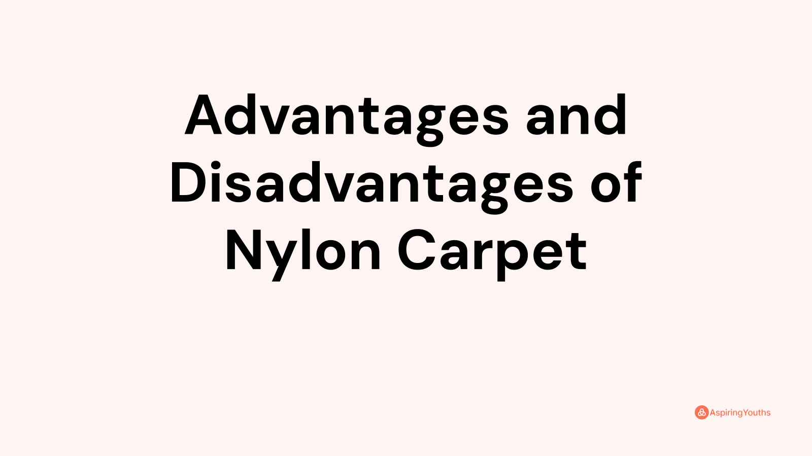 Advantages and disadvantages of Nylon Carpet