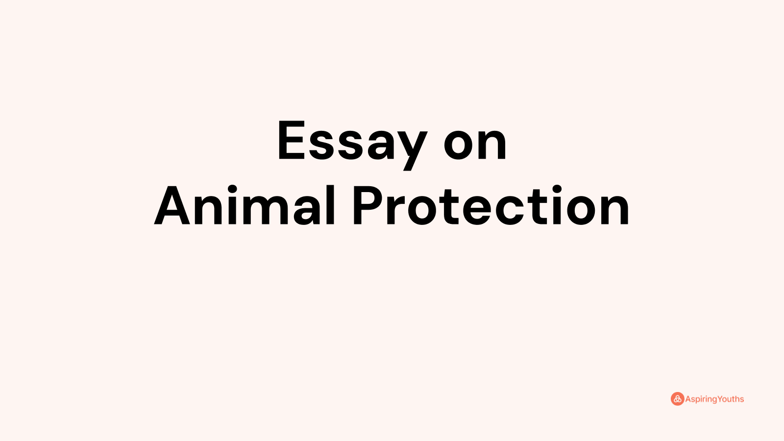 essay about animal protection