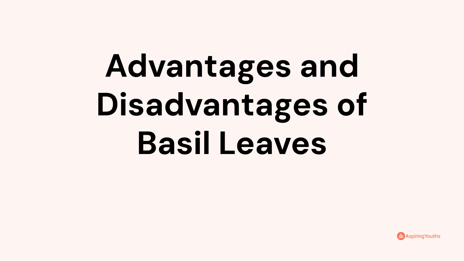 Advantages and disadvantages of Basil Leaves