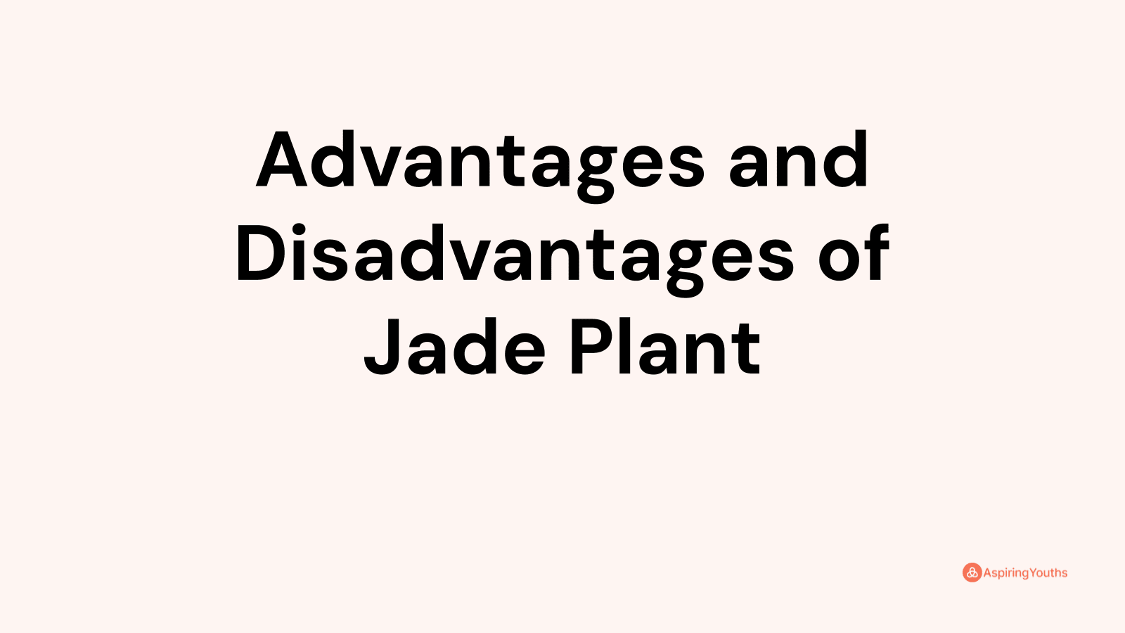 Advantages and disadvantages of Jade Plant