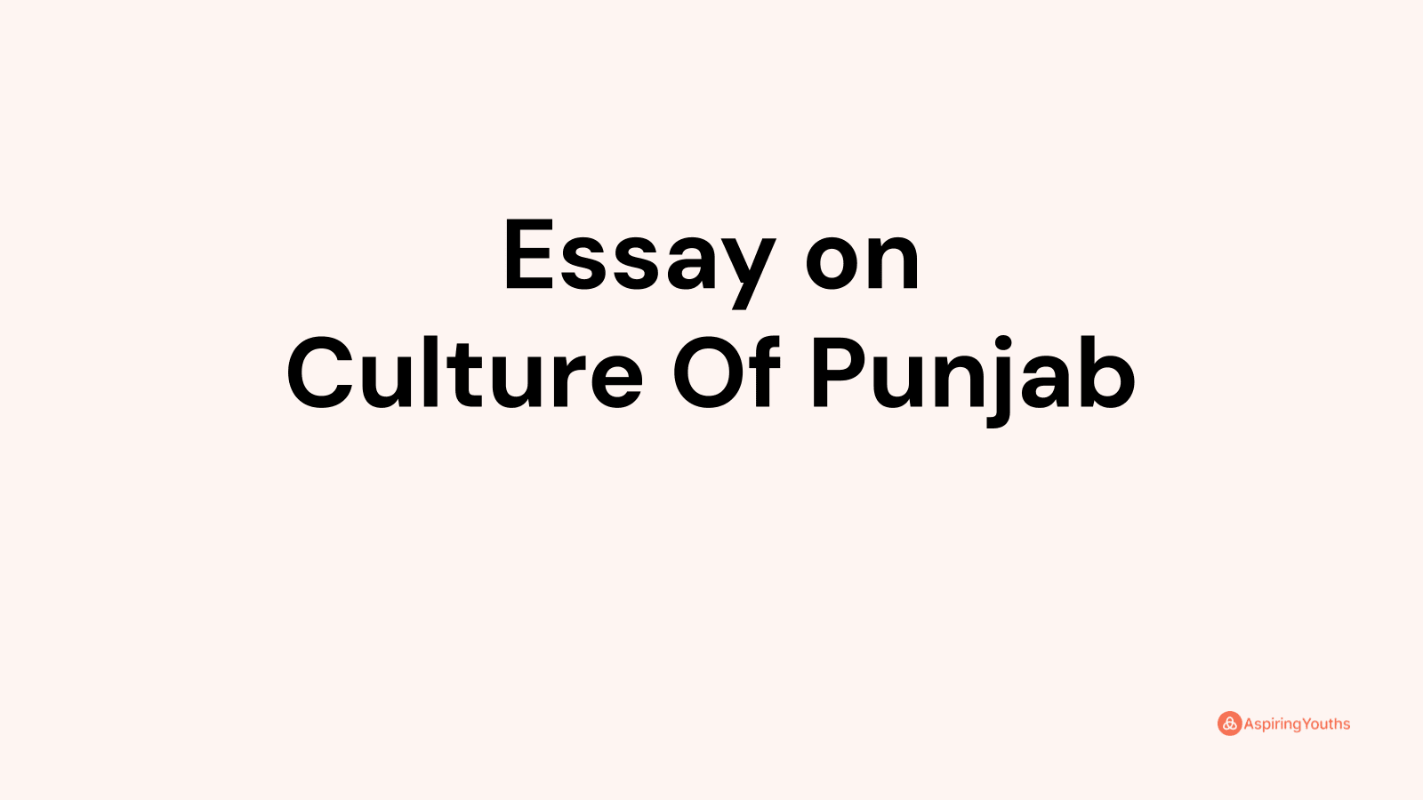 essay on punjab culture