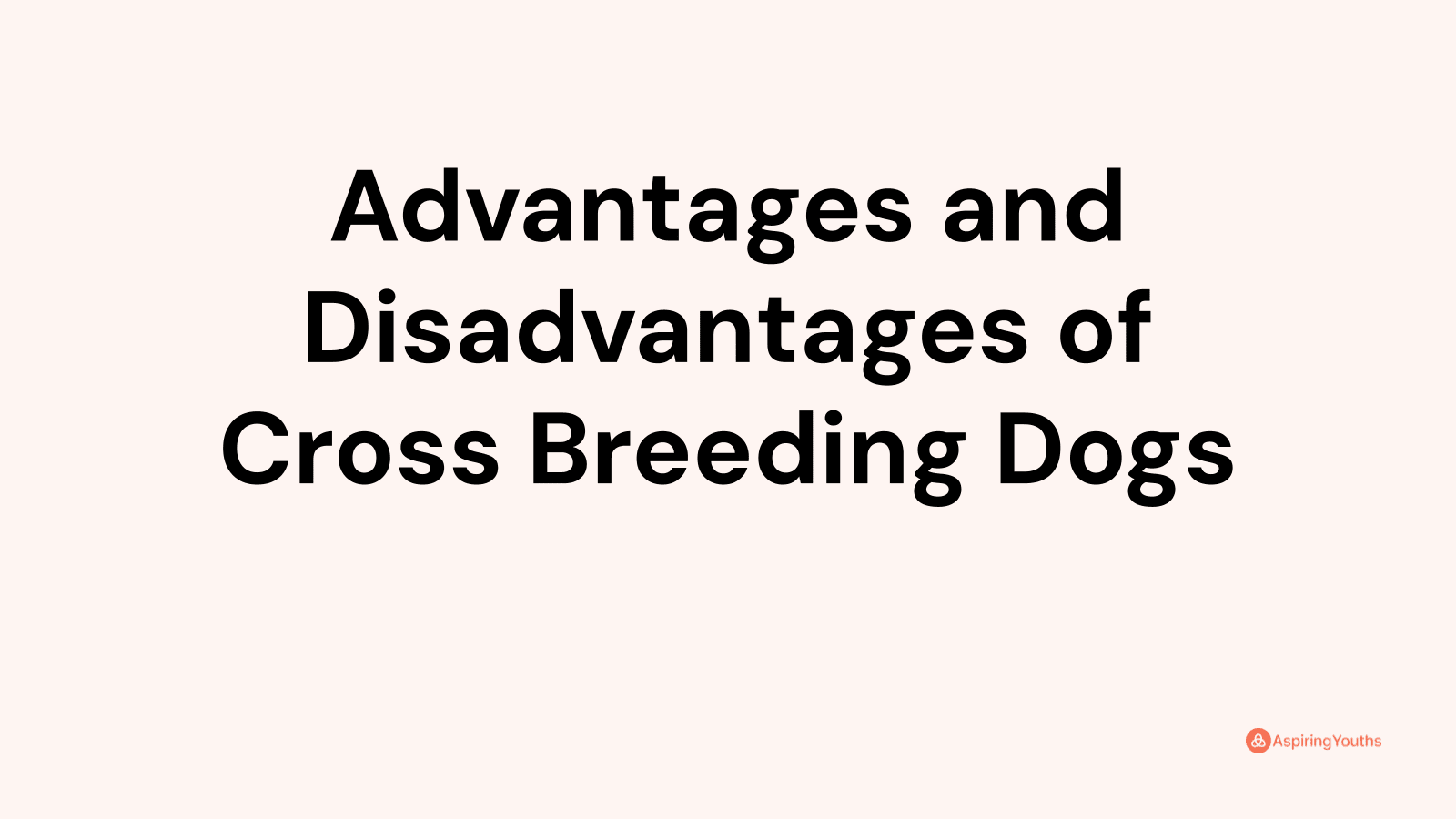 Advantages and disadvantages of Cross Breeding Dogs