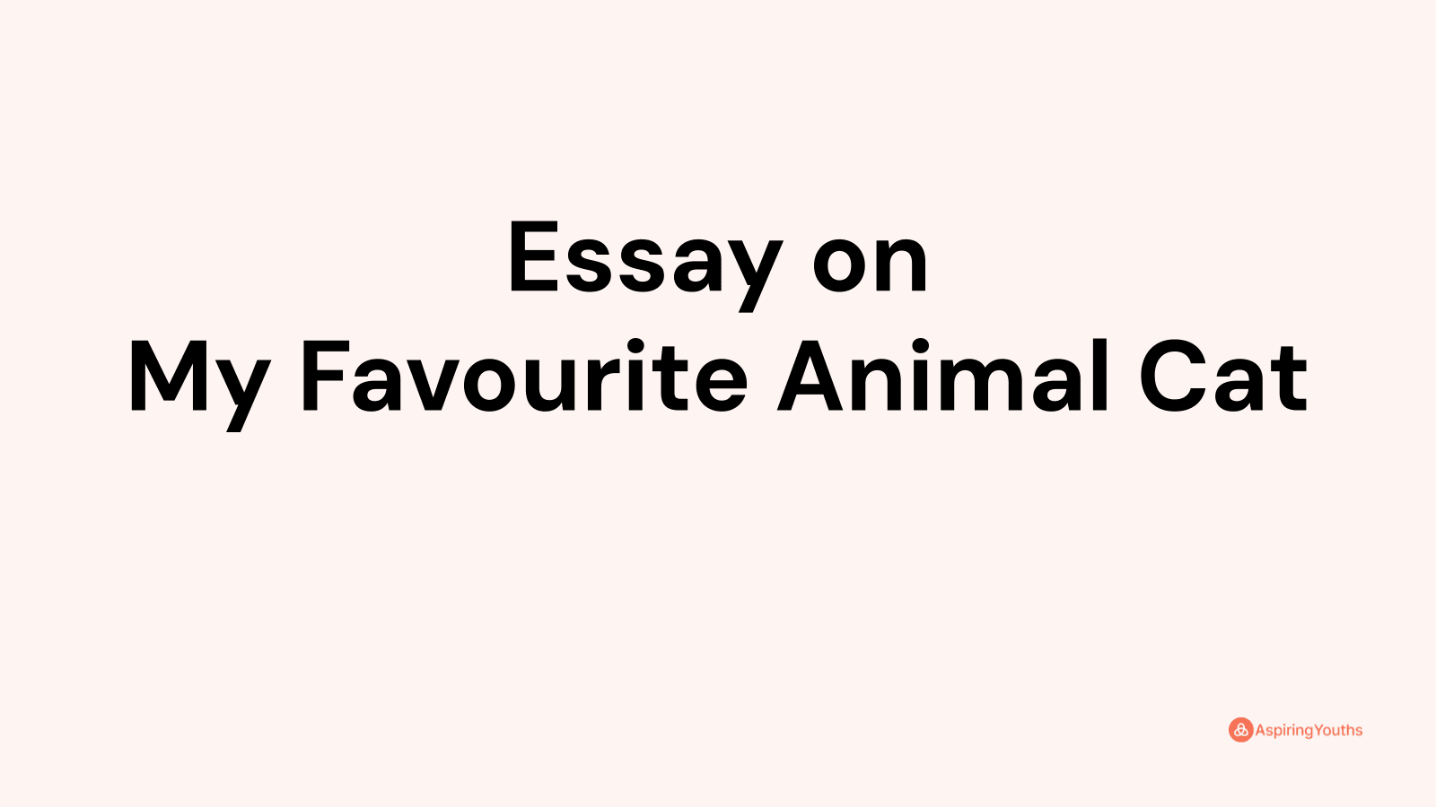 Essay on My Favourite Animal Cat