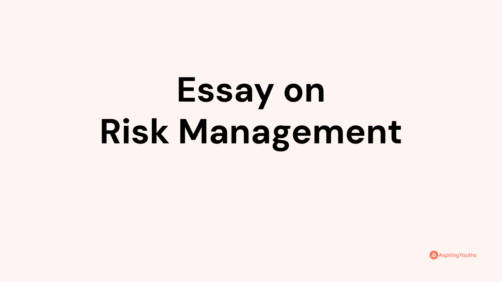 essay on risk management