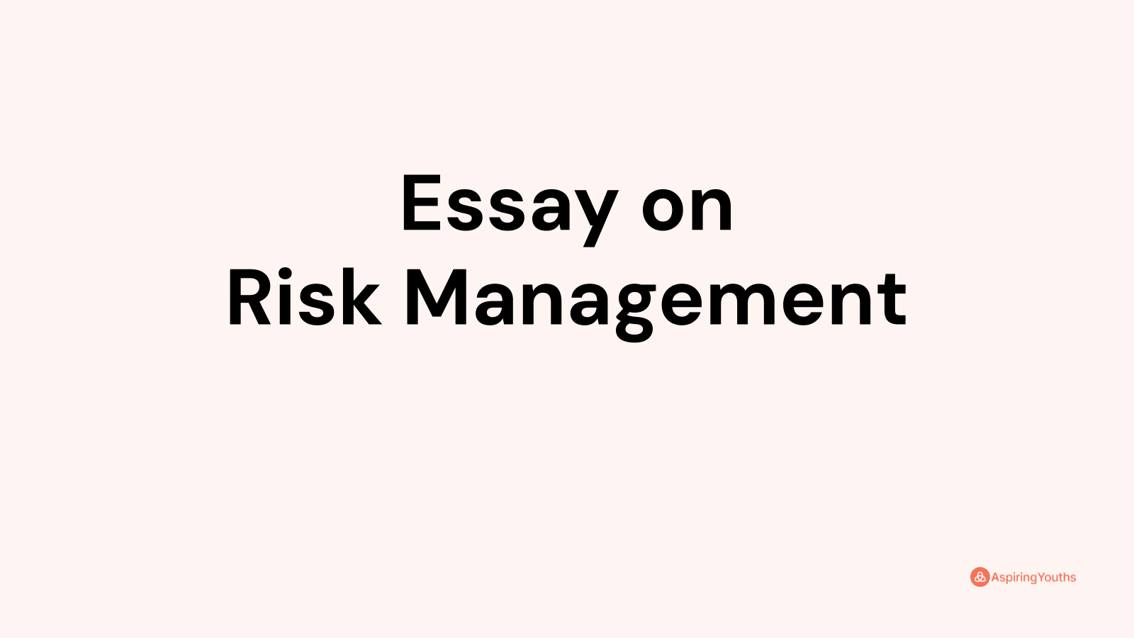 risk management importance essay