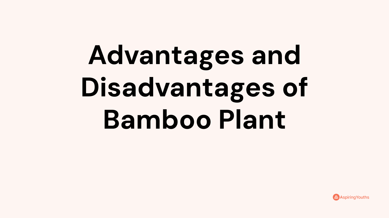 Advantages and Disadvantages of Bamboo Plant