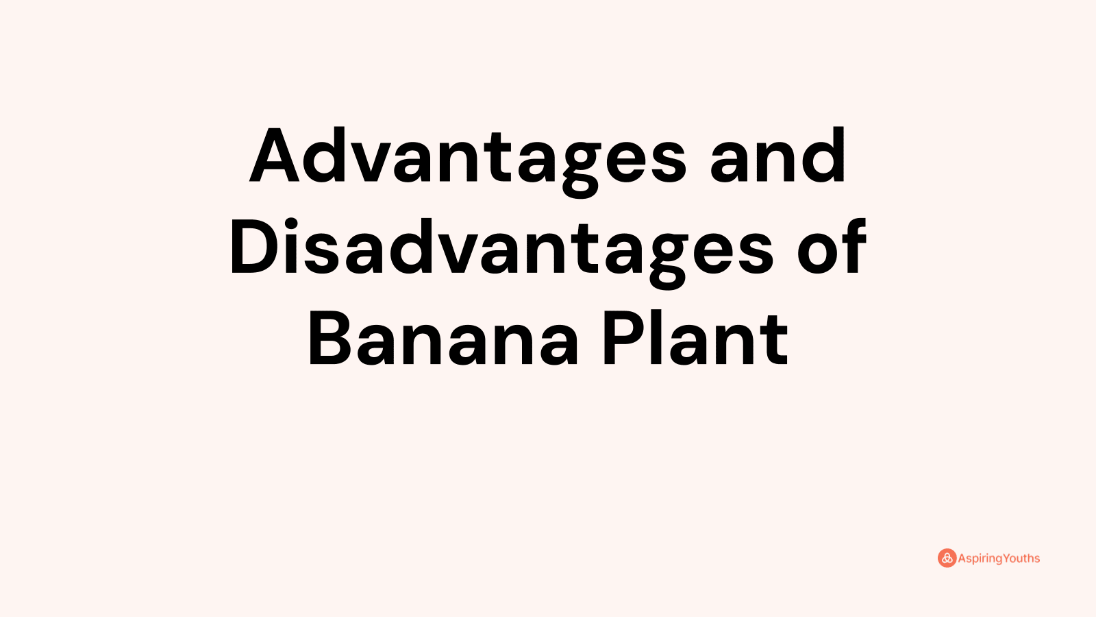 Advantages and Disadvantages of Banana Plant