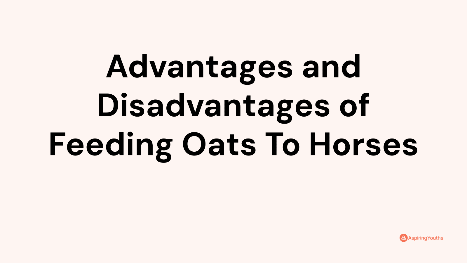 Advantages and Disadvantages of Feeding Oats To Horses