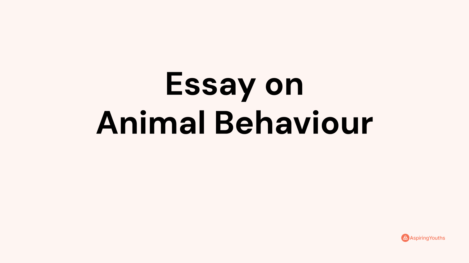 animal behavior essay paper