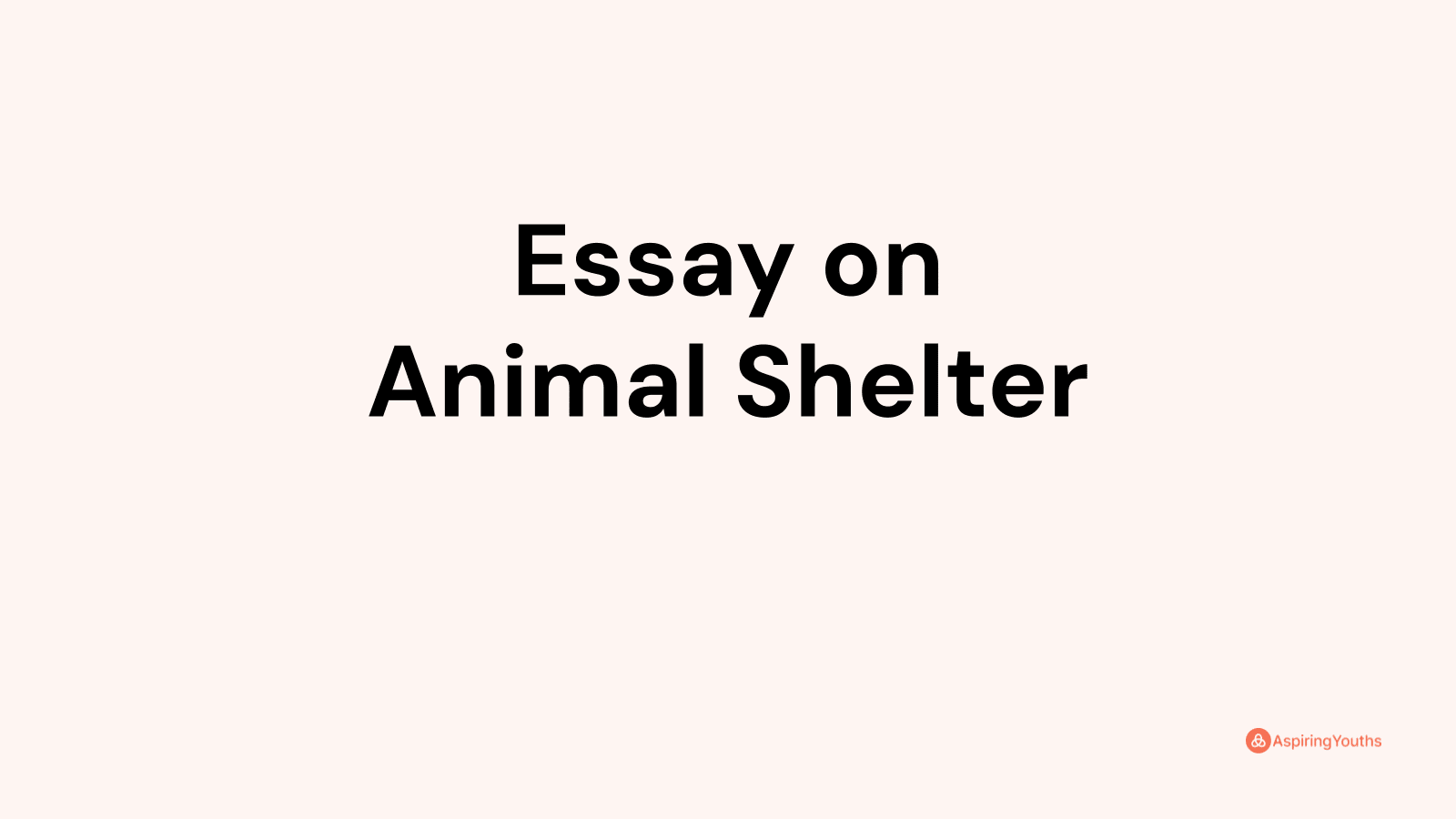 essay on animal shelter