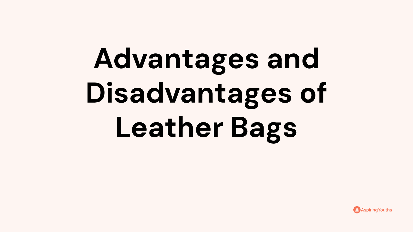 Advantages and Disadvantages of Leather Bags