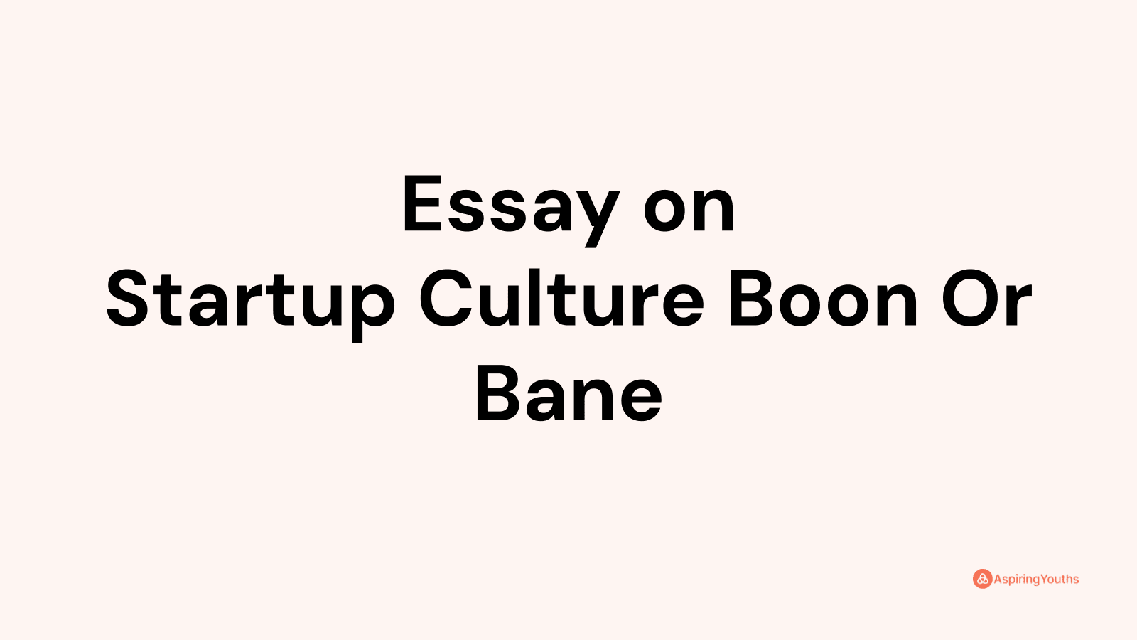 essay on startup culture