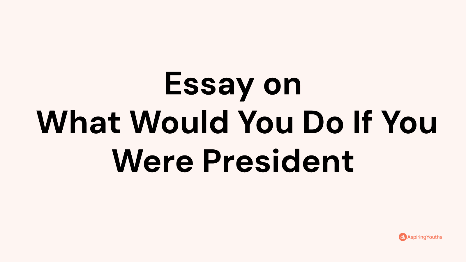 if you were president essay